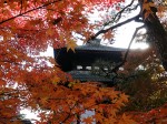 automne au Japon