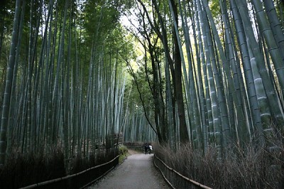 Arashiyama
