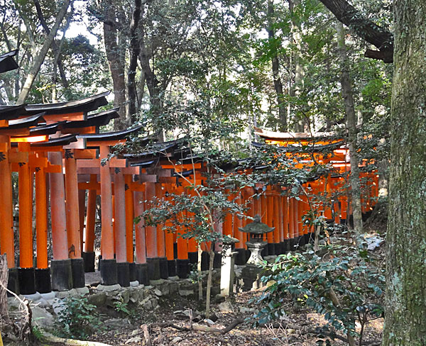 L’attribut alt de cette image est vide, son nom de fichier est 121113_372.jpg.