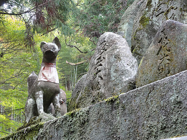 L’attribut alt de cette image est vide, son nom de fichier est 121113_381.jpg.