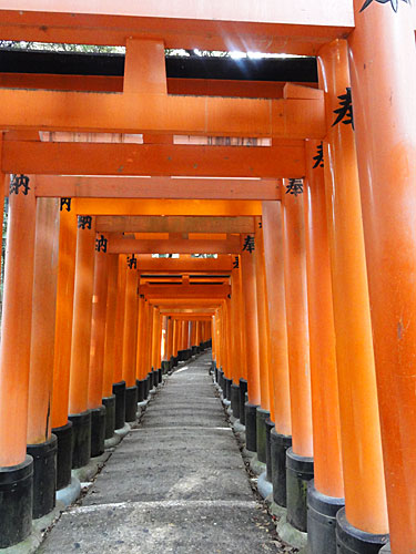 L’attribut alt de cette image est vide, son nom de fichier est 121113_450.jpg.