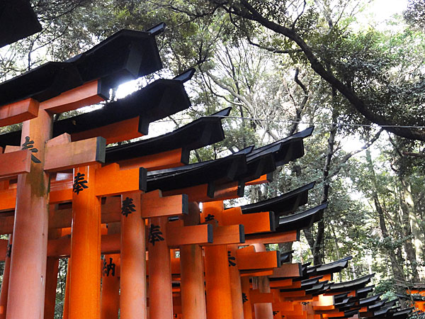 L’attribut alt de cette image est vide, son nom de fichier est 121113_456.jpg.