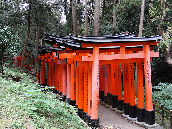 L’attribut alt de cette image est vide, son nom de fichier est 121113_490.jpg.