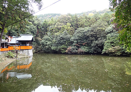 L’attribut alt de cette image est vide, son nom de fichier est 121113_533-2.jpg.