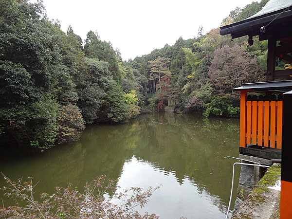 L’attribut alt de cette image est vide, son nom de fichier est 121113_561.jpg.